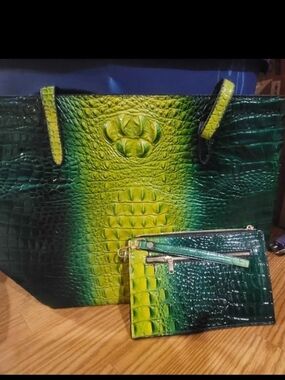 PurseN Green-to-Yellow Ombre Croc-Embossed Tote with Matching Pouch
